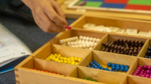 Material Montessori Nationalpark Waldkindergarten Schule