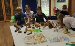 Montessori Pilze kleine Forscher Freyung Kindergarten Kreuzberg